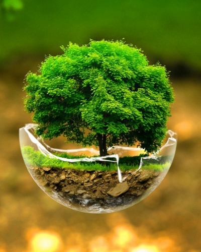 respect nature